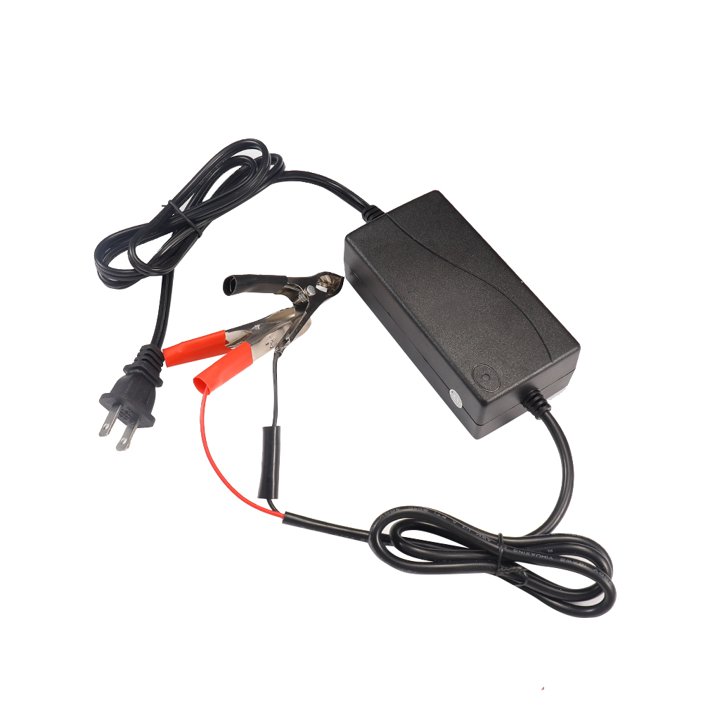 3.2V 6A LiFePO4 battery charger