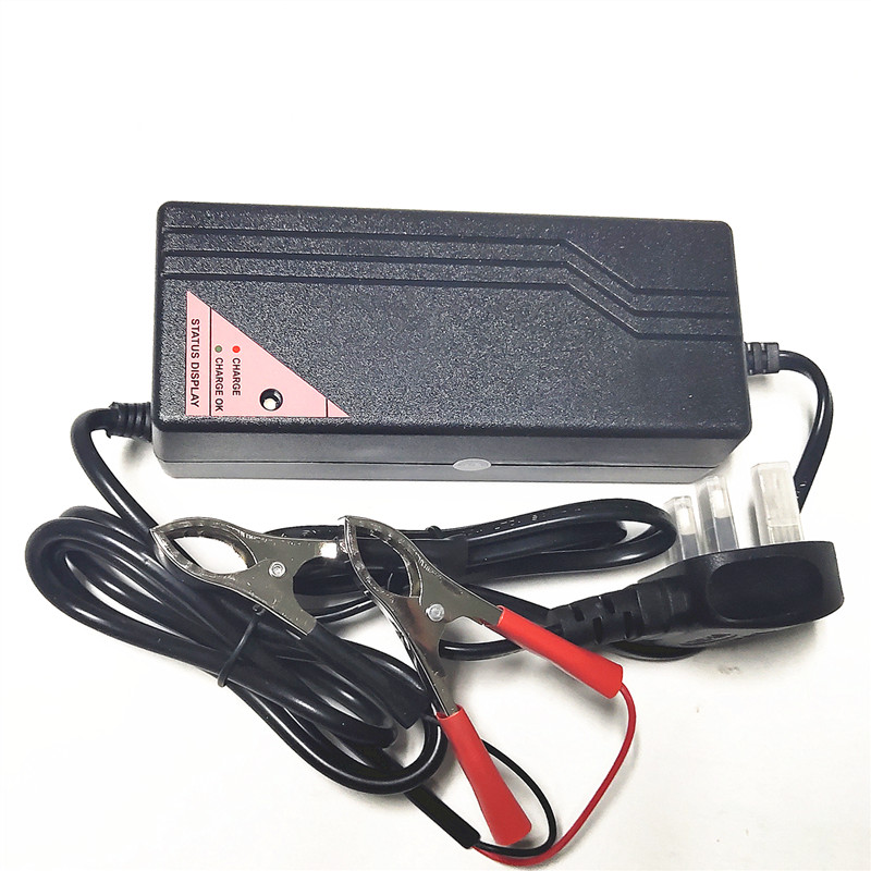 3.2V 10A LiFePO4 battery charger
