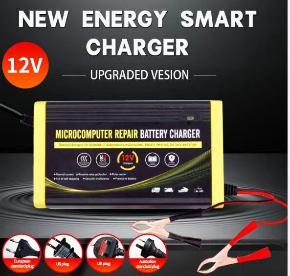 12V 6A  repair charger